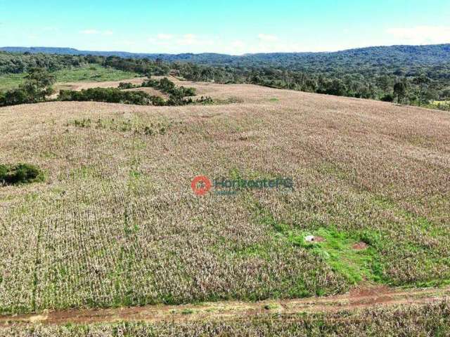 Fazenda  à venda, 59 alqueires por R$ 13.800.000