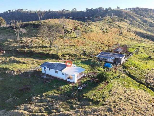 Fazenda com 37.5 Alqueire à venda por R$ 3.000.000 - Zona Rural - Pinhão/PR