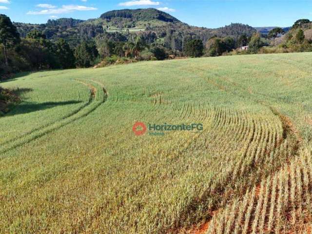 Chácara à venda, 3 hectares por R$ 380.000 - Jordão - Guarapuava/PR