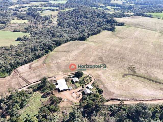 Fazenda à venda, 36 alqueires por R$ 5.500.000 - Pinhao - Pinhão/PR