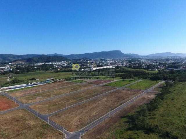 Terreno à venda, 1509 m² por R$ 830.000,00 - Guarda do Cubatão - Palhoça/SC