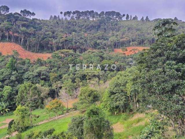 Terreno à venda, Green Valleiy - Teresópolis/RJ