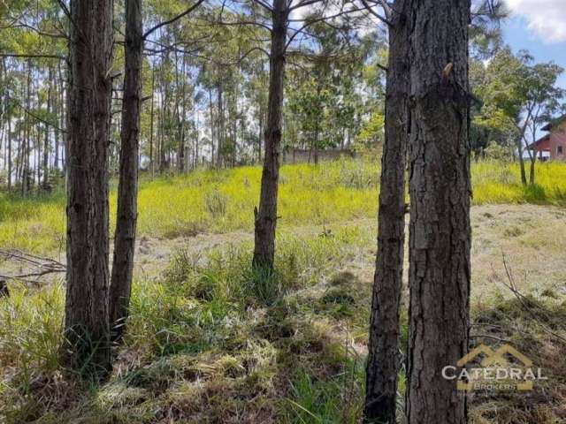 Terreno à venda, 3200 m² por R$ 660.000,00 - Caxambu - Jundiaí/SP