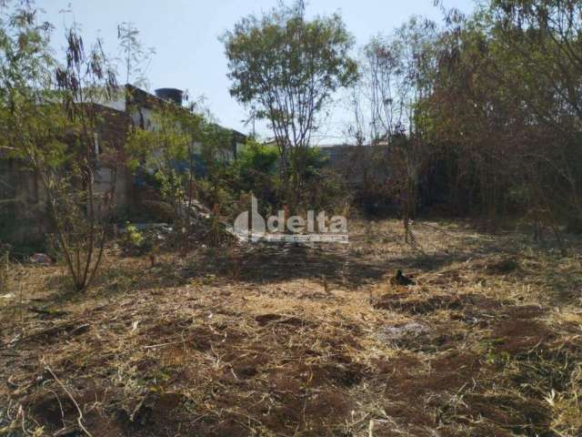 Terreno à venda, Osvaldo Rezende - Uberlândia/MG