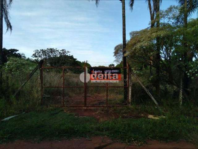 Chácara à venda, 1 quarto, 1 vaga, Chácara Panorama - Uberlândia/MG