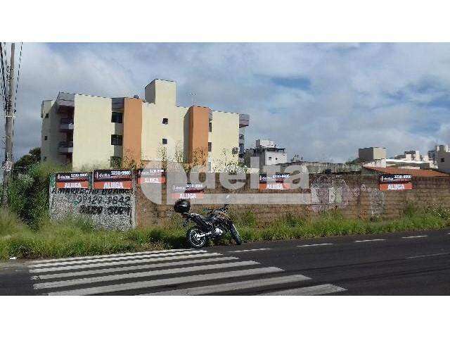 Terreno para aluguel, Brasil - Uberlândia/MG