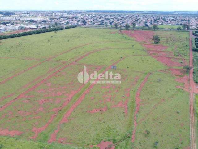 Área à venda, Área Rural de Uberlândia - Uberlândia/MG