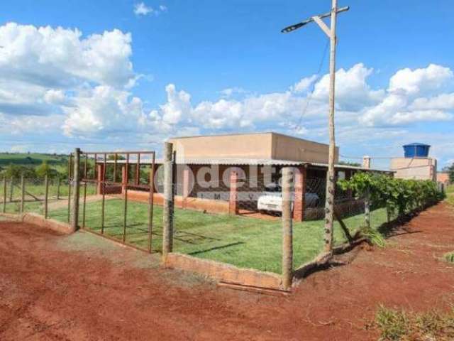 Chácara à venda, 3 quartos, 4 vagas, Área Rural de Uberlândia - Uberlândia/MG