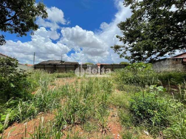 Terreno à venda, Dona Zulmira - Uberlândia/MG