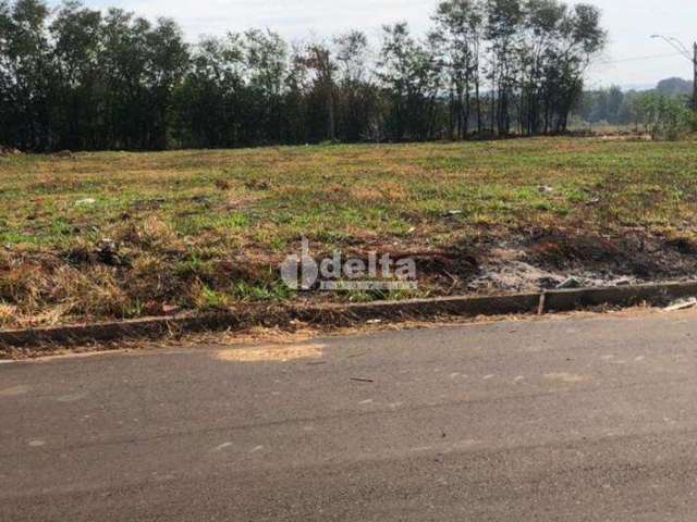 Terreno à venda, Jardim Ipanema - Uberlândia/MG