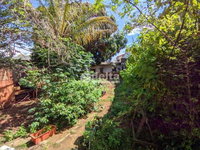 Terreno à venda, 7 quartos, Custódio Pereira - Uberlândia/MG