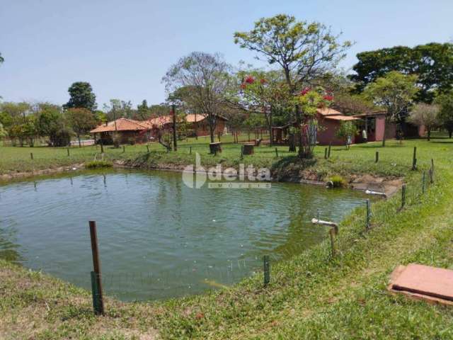 Chácara à venda, 4 quartos, 2 suítes, 3 vagas, Zona Rural De Uberlandia - Uberlândia/MG