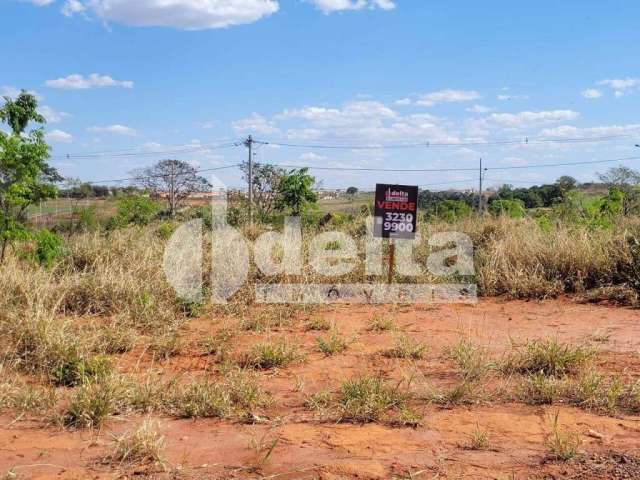 Terreno com 250m², topografia plana, Bairro Luizote IV