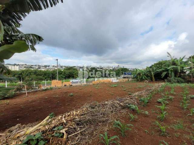 Terreno à venda, Jaraguá - Uberlândia/MG