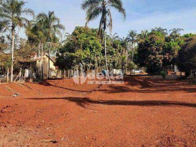 Área à venda, Área Rural de Uberlândia - Uberlândia/MG