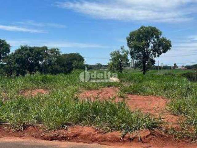 Terreno à venda, Loteamento Luizote IV - Uberlândia/MG