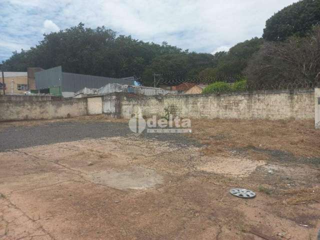 Terreno para aluguel, Martins - Uberlândia/MG