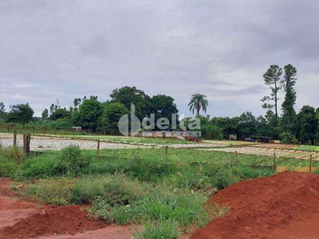 Terreno para aluguel, Shopping Park - Uberlândia/MG