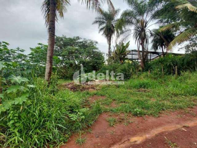 Terreno para aluguel, Shopping Park - Uberlândia/MG