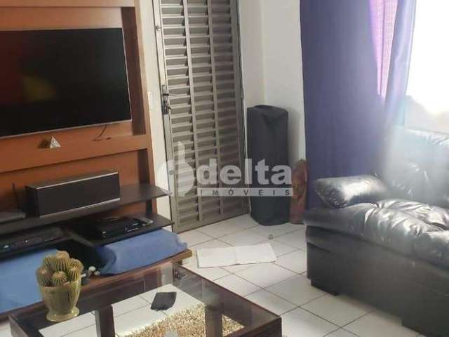 Apartamento à venda, 2 quartos, 1 vaga, Dona Zulmira - Uberlândia/MG