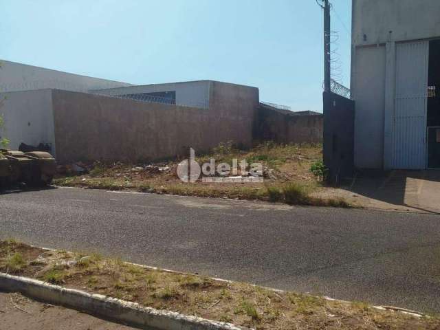 Terreno para Venda com 322,40 m² no Bairro Santa Rosa