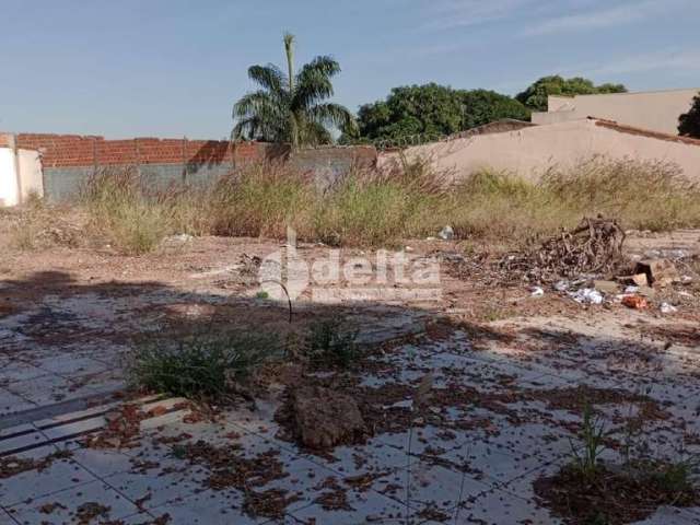 Terreno Padrão em Uberlândia