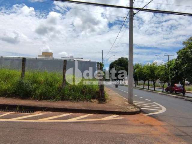 Terreno disponível para venda no bairro Santa Mônica em Uberlândia-MG