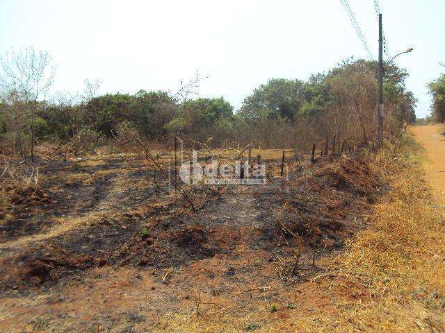 Terreno disponível para venda no bairro Chácaras Tubalina e Quartel em Uberlândia-MG