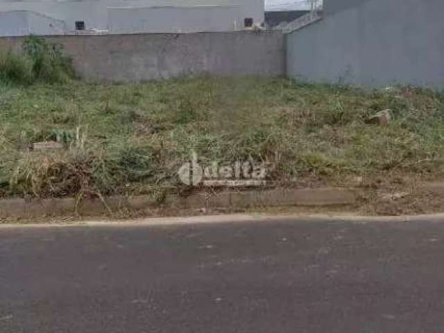 Terreno disponível para venda no bairro Novo Mundo em Uberlândia-MG