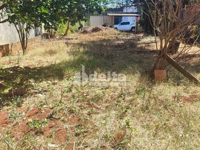 Terreno disponível para venda no bairro Custódio Pereira em Uberlândia-MG