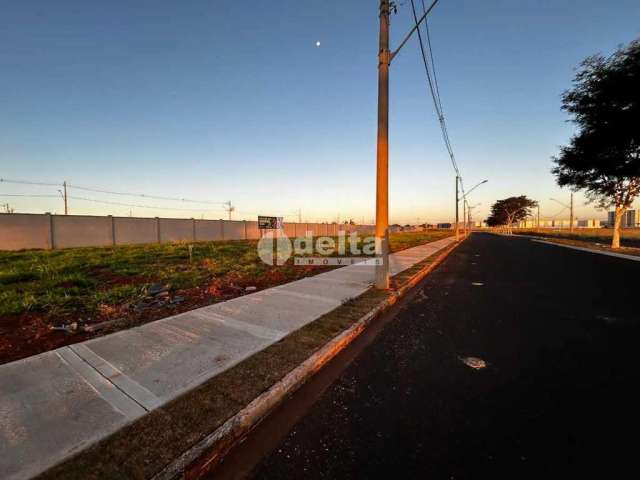 Terreno Padrão em Uberlândia