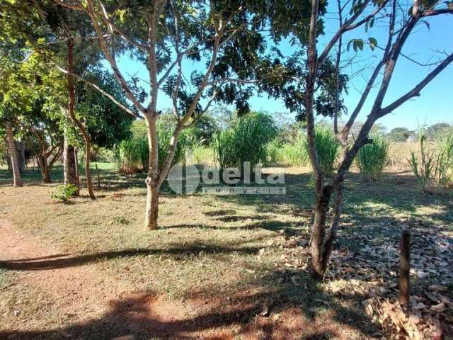 Chácara Residencial disponível para Venda no bairro Distrito Industrial em Uberlândia-MG