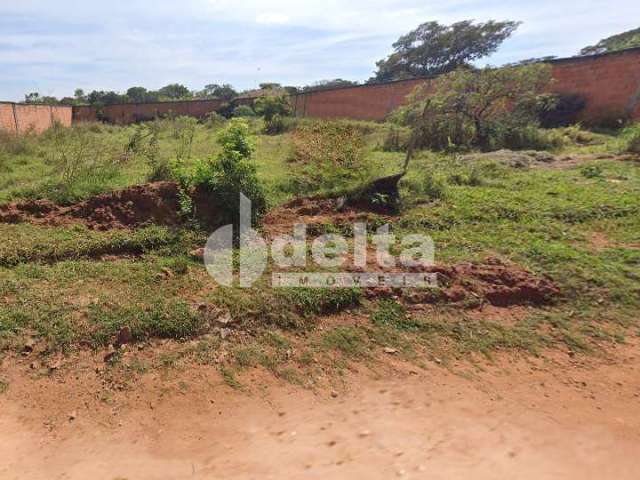 Terreno disponível para venda no bairro Chácara Panorama em Uberlândia-MG