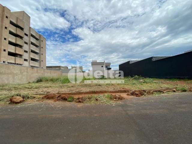 Terreno disponível para venda no bairro Novo Mundo em Uberlândia-MG