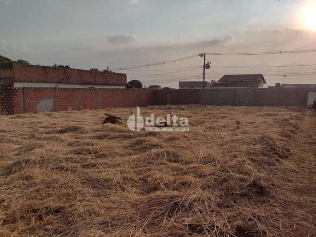 Terreno disponível para venda no bairro Santa Mônica em Uberlândia-MG