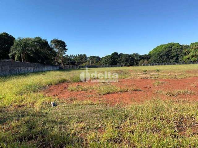 Terreno disponível para venda no bairro Morada dos Pássaros em Uberlândia-MG