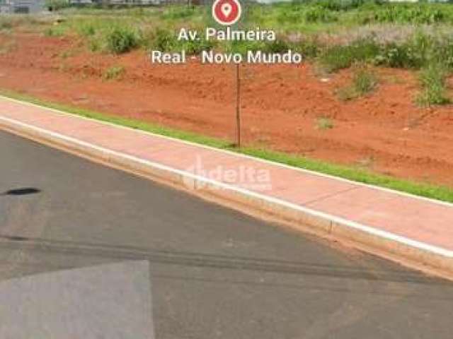 Terreno disponível para venda no bairro Novo Mundo em Uberlândia-MG