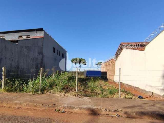 Terreno disponível para venda no bairro Santa Mônica em Uberlândia-MG