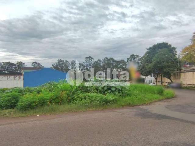 Terreno no condomínio disponível para venda no bairro Santa Mônica em Uberlândia-MG