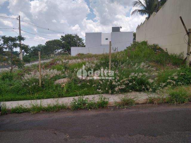 Terreno disponível para venda no bairro Vigilato Pereira em Uberlândia-MG