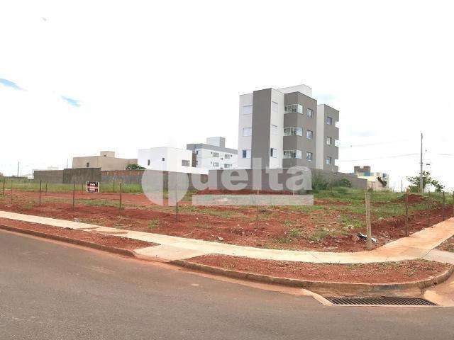 Terreno disponível para venda e locação no bairro Vida Nova em Uberlândia-MG