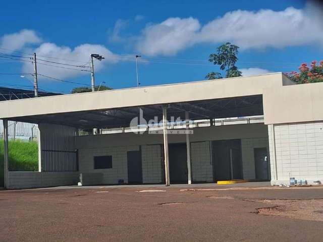 Terreno disponível para locação no bairro Alto Umuarama em Uberlândia-MG