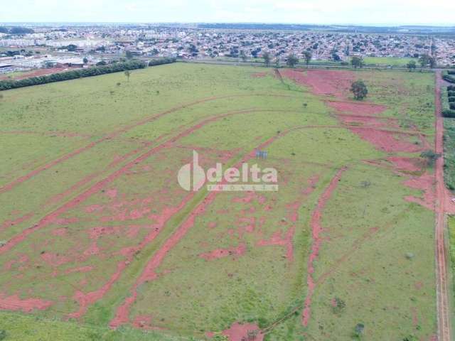 Área disponível para venda no bairro Zona Rural em Uberlândia-MG