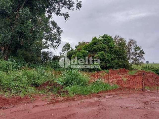 Terreno disponível para locação no bairro Alto Umuarama em Uberlândia-MG