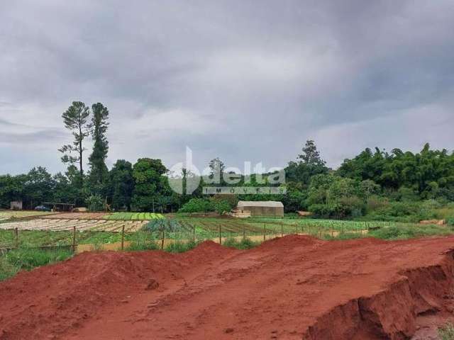 Terreno disponível para locação no bairro Shopping Park em Uberlândia-MG