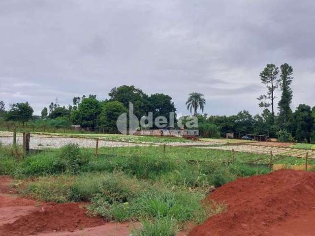 Terreno Padrão em Uberlândia