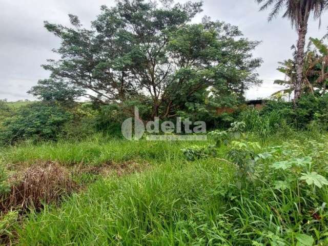 Terreno disponível para locação no bairro Shopping Park em Uberlândia-MG