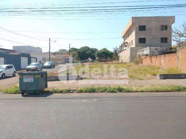 Terreno disponível para aluguel no bairro Alto Umuarama em Uberlândia-MG