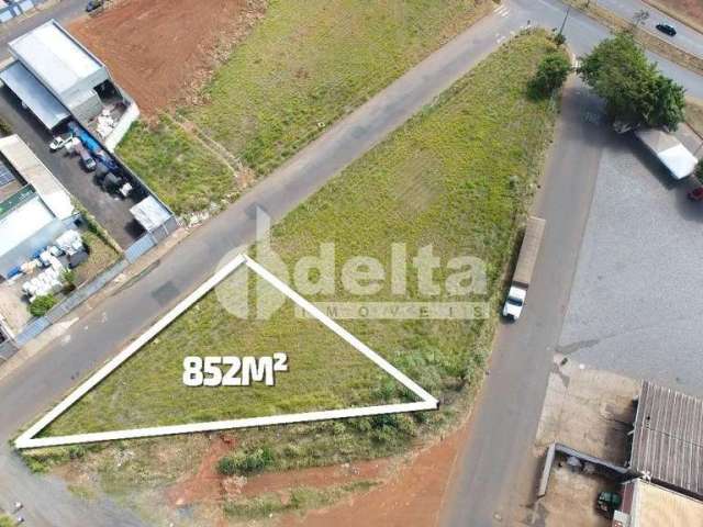 Área disponível para venda no bairro Segismundo Pereira em Uberlândia-MG