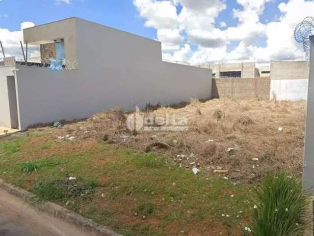 Terreno disponível para venda no bairro Novo Mundo em Uberlândia-MG